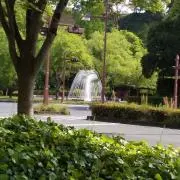 りの