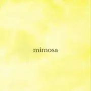 mimosa