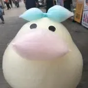 Koriの画像