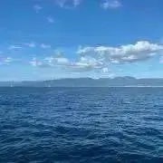 太郎の画像