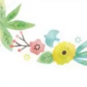 やなぎの画像