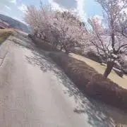 ぬんの画像