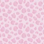 ミミ美ちゃんの画像