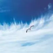 sora※プロフ要確認の画像