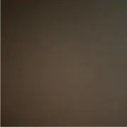 こねの画像