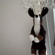 Riの画像