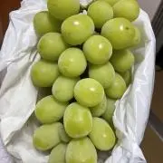 ますかっとの画像