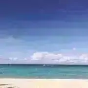 SEA※同梱で300円引き！の画像