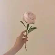 Kaの画像