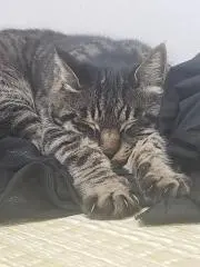 ☆のりっち☆