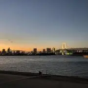 森のメガネの画像