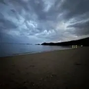 やんの画像