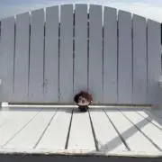 マヨの画像