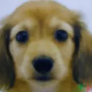 alto0116の画像