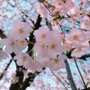 くるみぱん