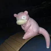 やどん