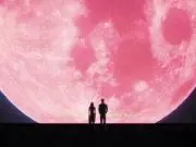 yoiの画像