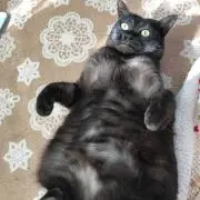 たっくん