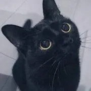 kaya♬の画像