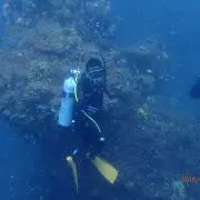 さいとう
