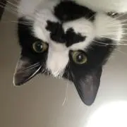 いろことママ