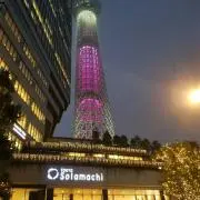 イガグリの画像