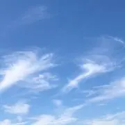 heartの画像