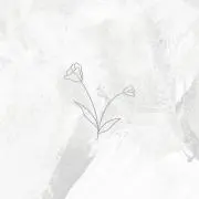 coco近日追加予定ですの画像