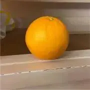 みかん
