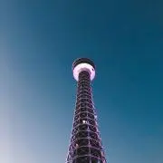 ayamの画像