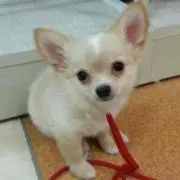 みなみ