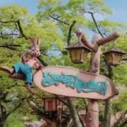 うさぎどんの画像