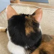 まもん＊プロフ必読＊