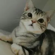 もこの画像