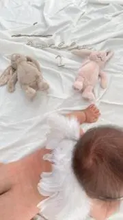 micaの画像