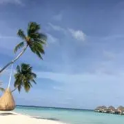 ともの画像