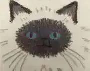 ユーの画像