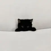 黒崎の画像