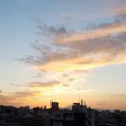 パムの画像