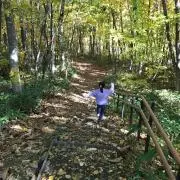 ＊*゜あおば*＊.。の画像