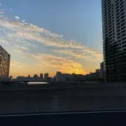 宝石ルース 【最高峰へ匠の再研磨済】天然アメトリンの王様です！27カラット鑑付！ アメジスト ルース 美しいアメジスト 2.64 カラット 天然宝石