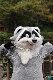 ミャミャの画像