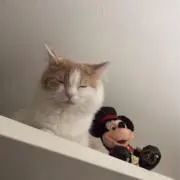 さの画像
