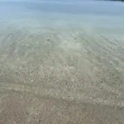 あくんの画像