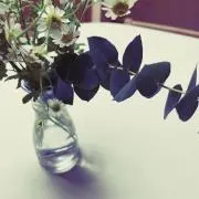 a_chanの画像