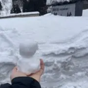 ぱんちゃんの画像