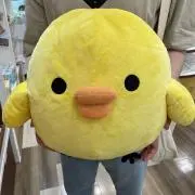 Dangoの画像