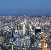 maru-hの画像