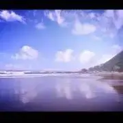 IJの画像