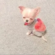 ☺︎